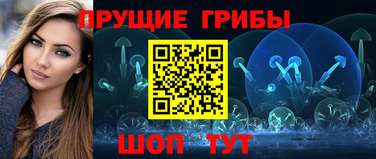 Галлюциногенные грибы Psilocybe Чусовой