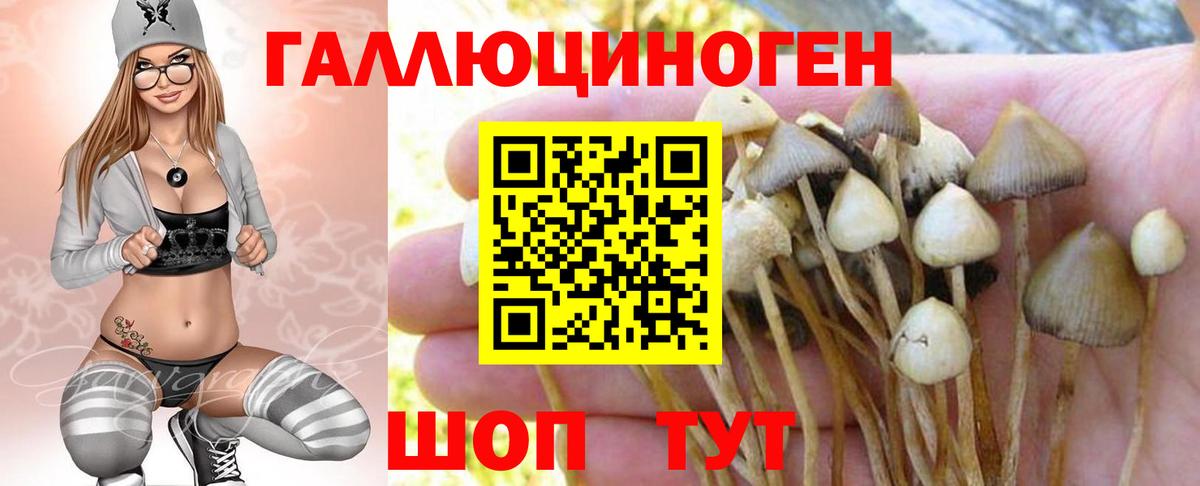 Галлюциногенные грибы Cubensis  Вход с VPN  Чусовой 